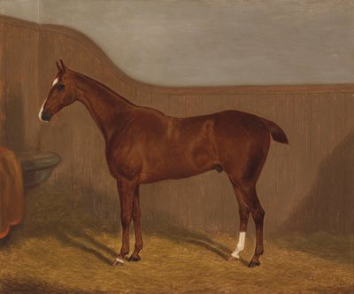 Retrato de caballo (Lady Oswestry o Dandy, uno de dos cuadros ofrecidos en un lote con estas denominaciones) de F. Clifton